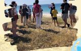 Balade nature à la découverte de la dune de Trescadec à Audierne