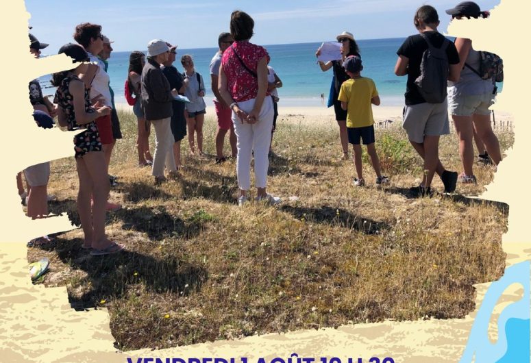 Balade nature à la découverte de la dune de Trescadec à Audierne