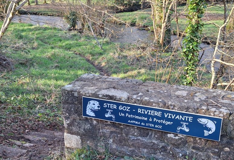 Opération Ster Goz