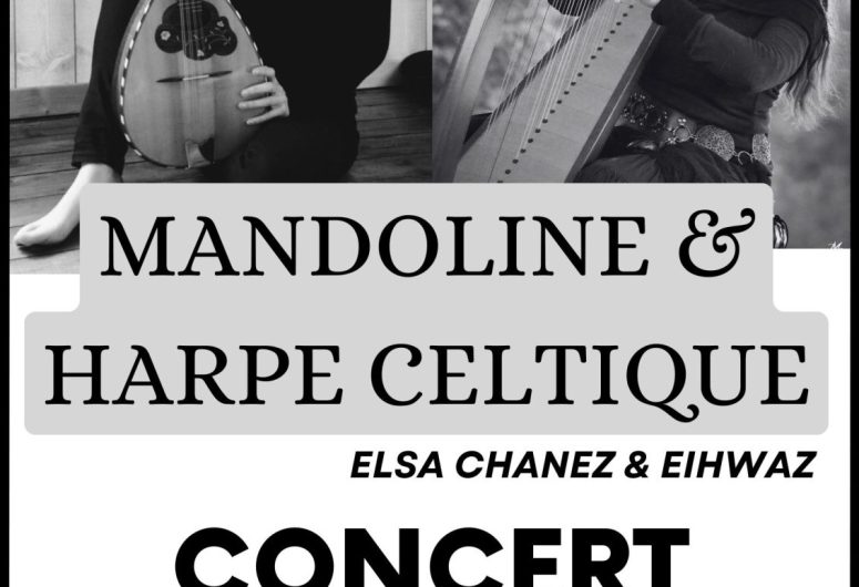 Black Minimalist Music Concert Poster – 6