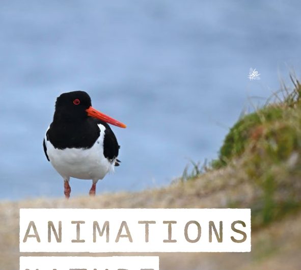 COM_TOURISME_DEPL5volets_AnimNature_2025_VF_web (1)_page-0001