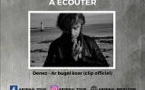 Concert Denez Prigent