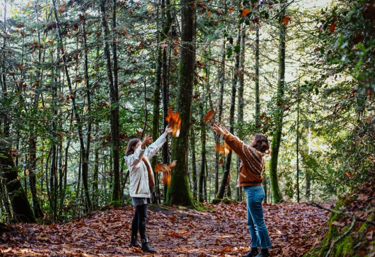 Balade chantée dans les bois – Combrit Ste Marine – Pays bigouden – Bigoudenjoy