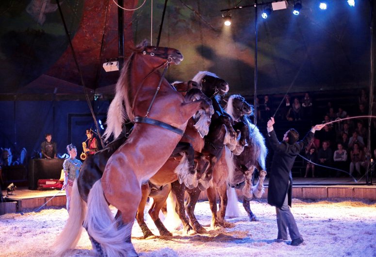 Spectacle équestre « Cavale » par la compagnie Jehol