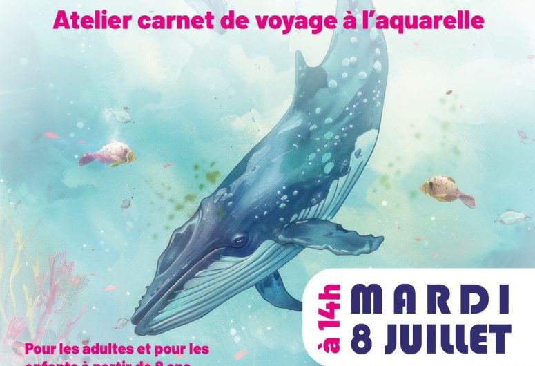 Ecume de couleurs