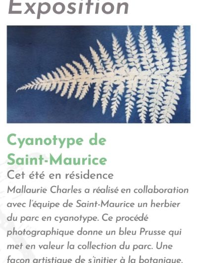 Expo cyanotype SAST
