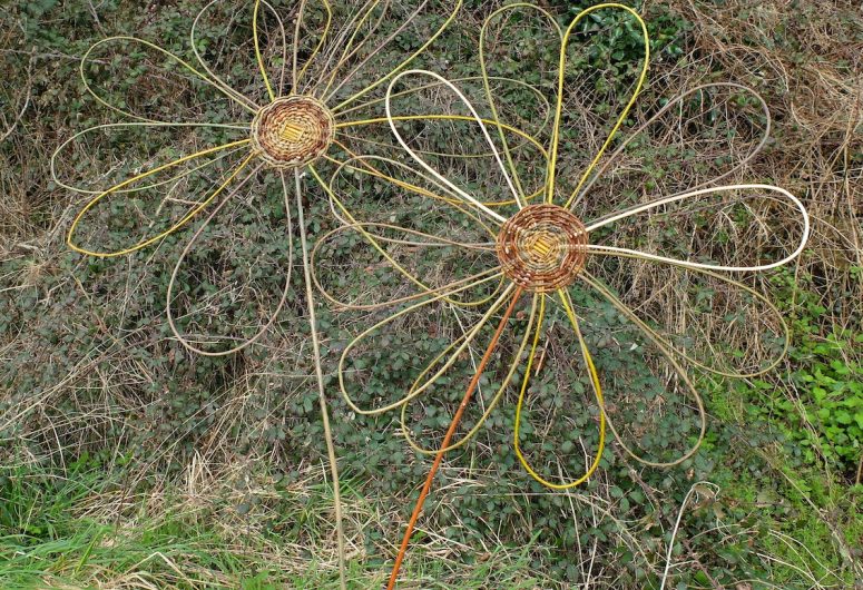 Fleurs-osier1