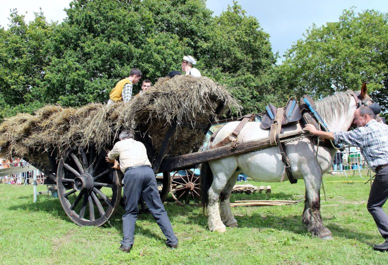 Kerbader-Fete-des-vieux-metiers