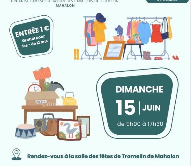 vide grenier
