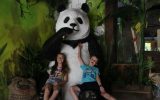 Panda Adventure Park