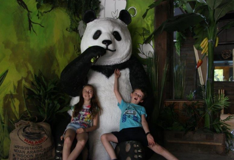 Panda Adventure Park