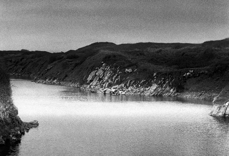 Dans la lande