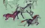 Expo aquarelles – Plobannalec Lesconil – Pays bigouden – Bigoudenjoy