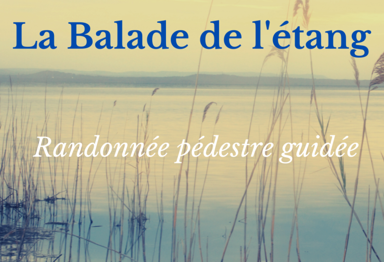 LES LUNDIS DE L’ETE