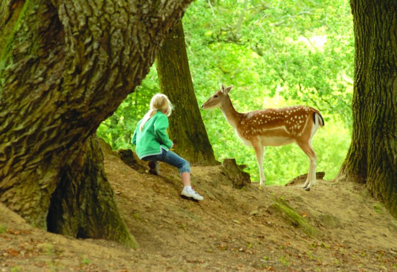 Parc du Quinquis