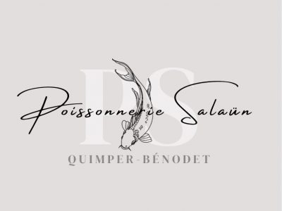 Salaun viswinkel logo