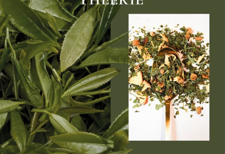 Maison Théerie