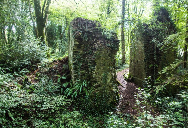 Ruines château de Carnoët