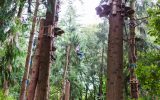 adventure – treetop adventure course – escape game – Melgven Concarneau Pont-Aven