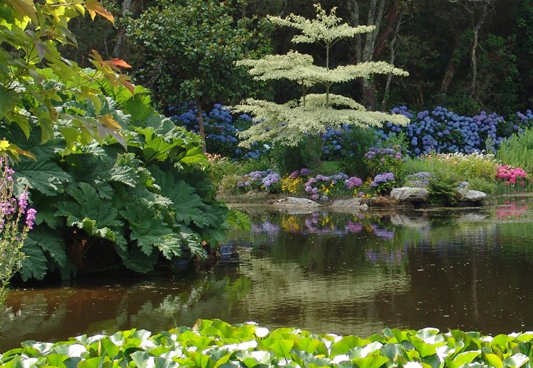 Parc Botanique de Cornouaille et musée des minéraux-Pays Bigouden-Bigoudenjoy