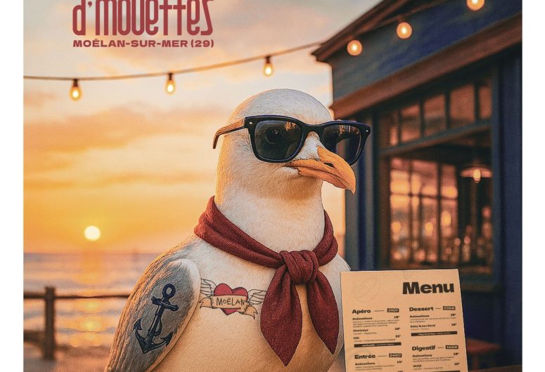 Fest’In d’Mouettes 2025