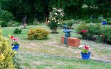 Jardin des fées