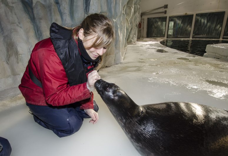 Care-polar-seal-Copyright-Oceanopolis