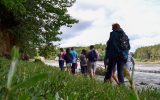 Sortie nature