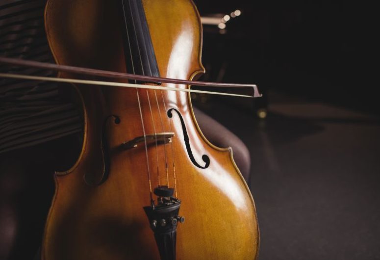 Rencontre avec un violoncelliste – Penmarch – Pays bigouden