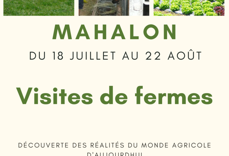 Visite de fermes 1