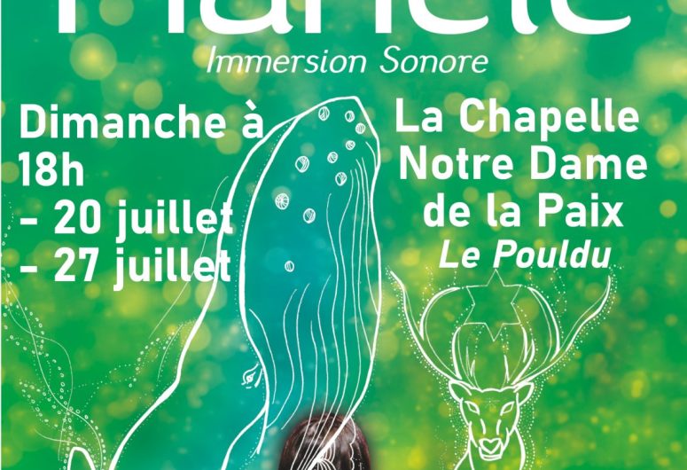 affiche NDPaix