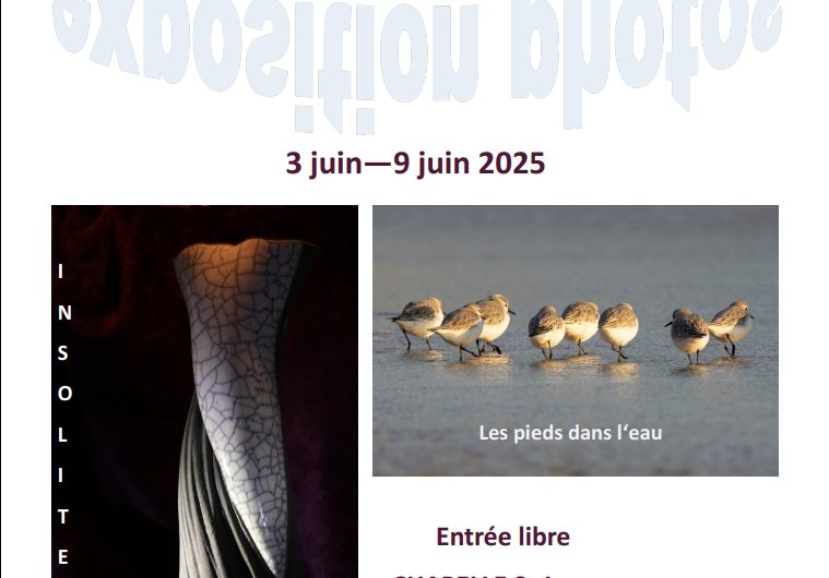 expo 2025