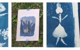 atelier cyanotype