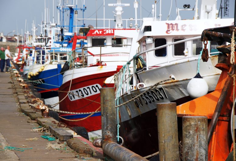 Visite du port Loctudy Pays Bigouden Bigoudenjoy