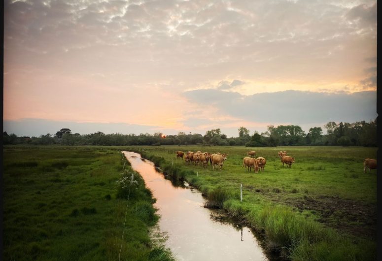 Balade sur le polder – Combrit Ste-Marine – Pays bigouden – Bigoudenjoy