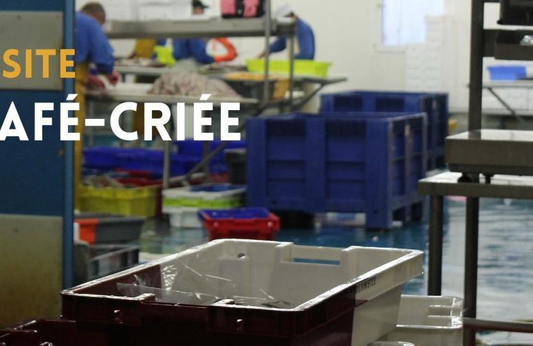 cafe criee