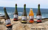 cidre de tromelin