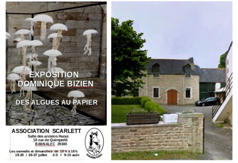 expo des algues au papier