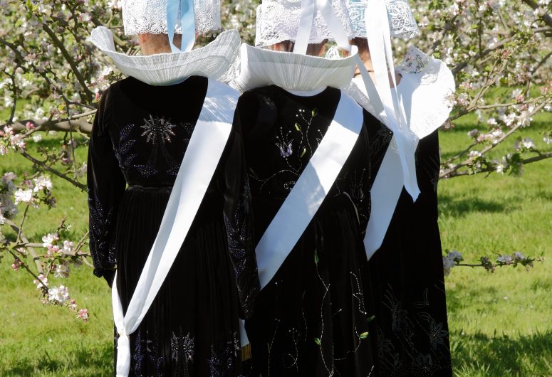 Fete des pommiers6