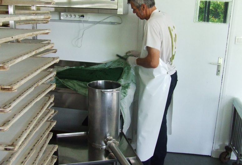 galette Spiruline