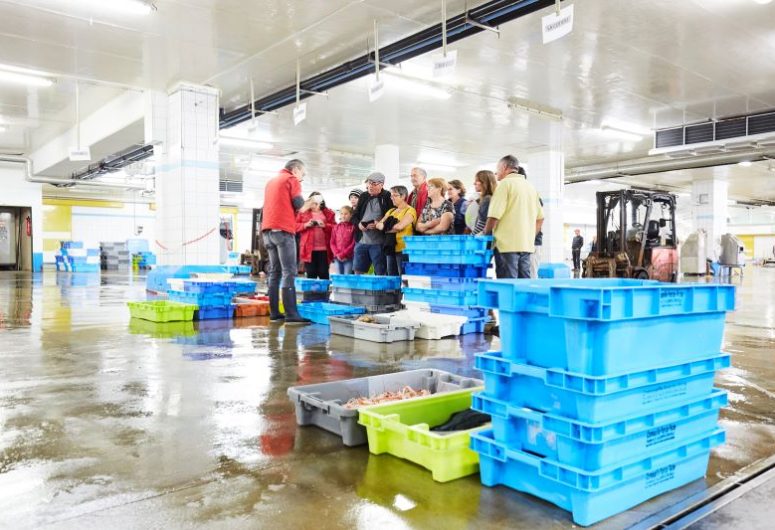 L’après-midi en folie – Haliotika – Guilvinec – Pays Bigouden – Bigoudenjoy