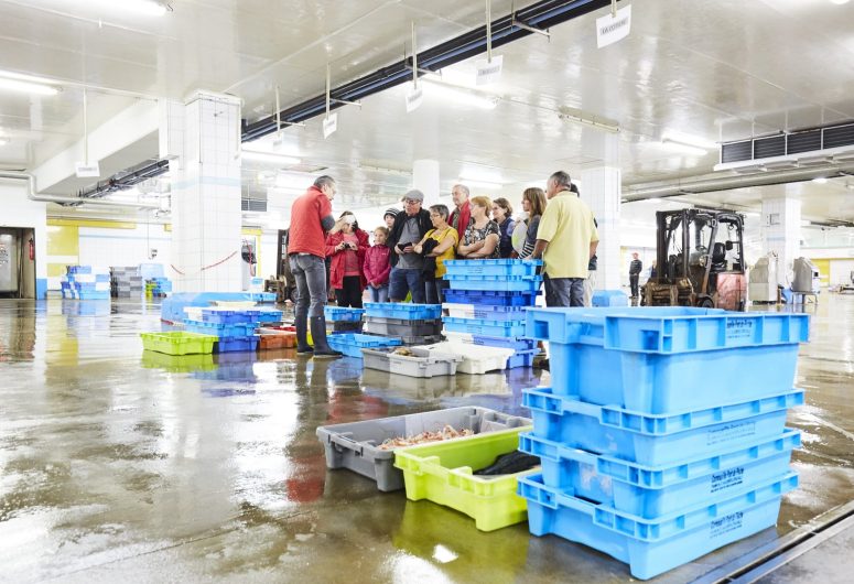 Haliotika – Visite guidée, coulisses de la criée – Guilvinec – Pays Bigouden