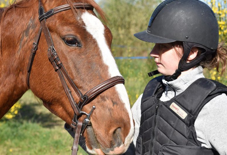 Stage de poney – Ploneour-Lanvern – Pays Bigouden