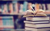 Vente de  livres – Ploneour-Lanvern – Pays bigouden -Bigoudenjoy