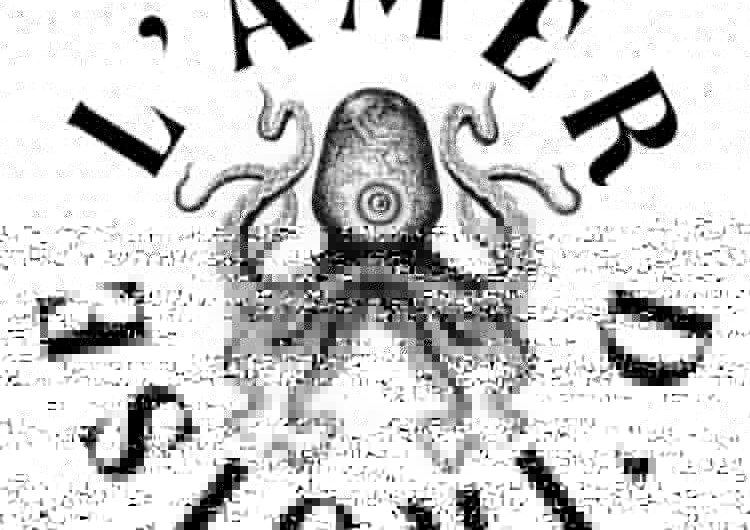 logo amer iroise