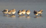 les pieds dans l’eau