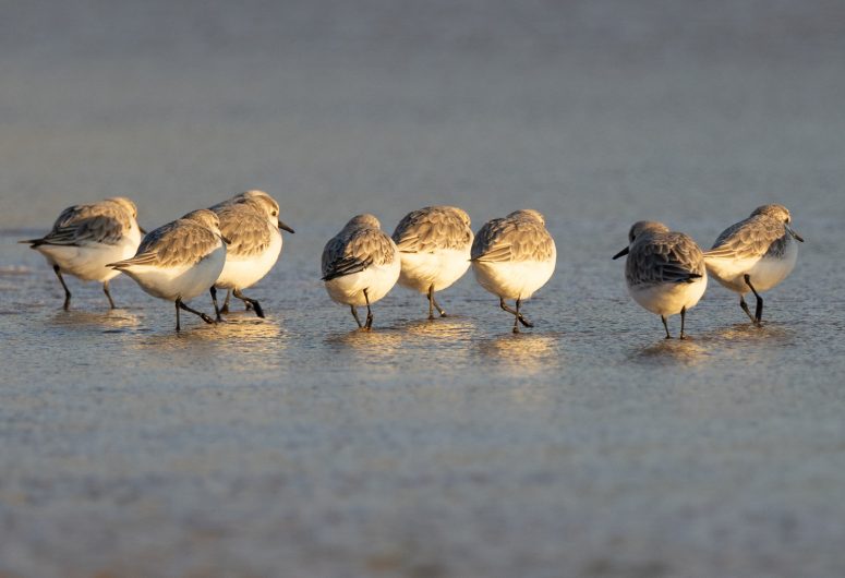 les pieds dans l’eau