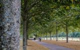 manoir-de-kernault-y-derennes-quimperle-t-25-1080×590