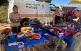 marché mousterliens3