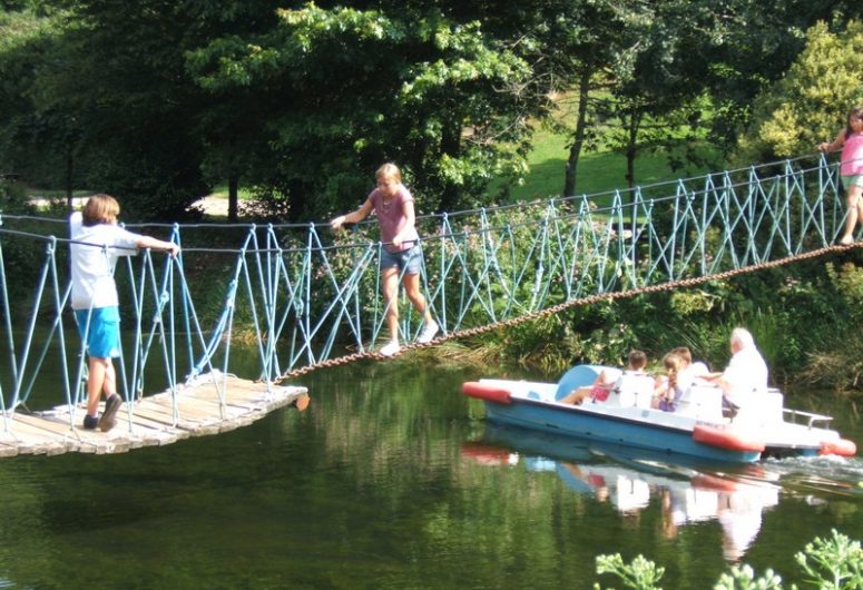 Pont de singe